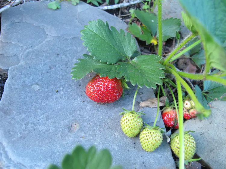 2017-05-07 19.26.40.jpg