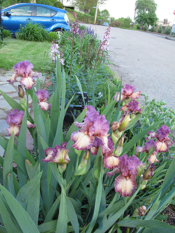 2017-05-07 19.29.28.jpg