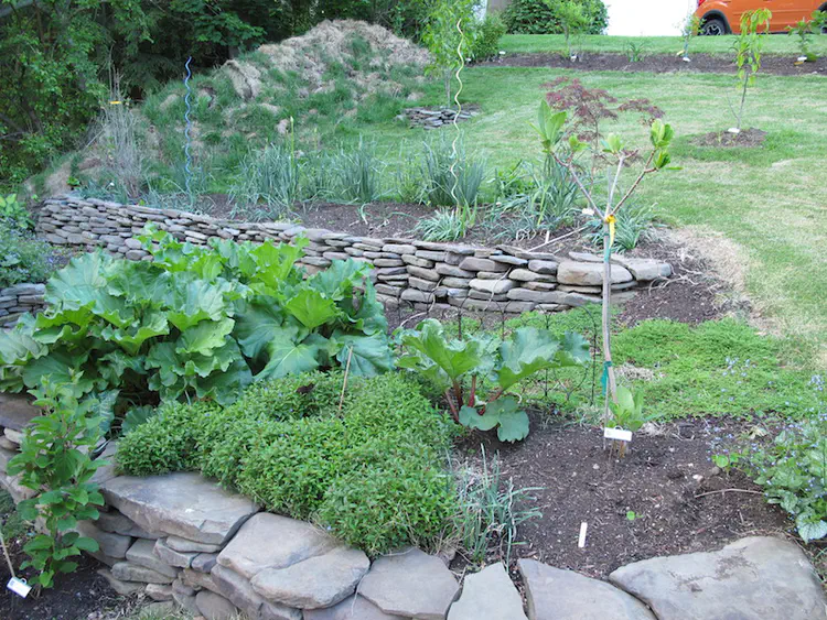 2017-05-07 19.32.34.jpg