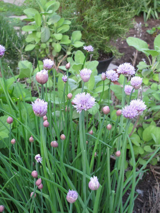 2017-05-07 19.35.26.jpg