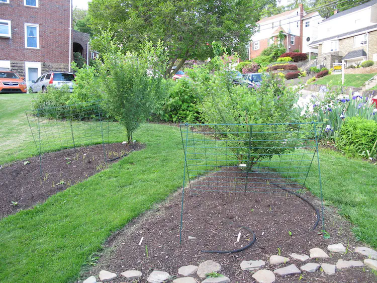 2017-05-07 19.38.17.jpg