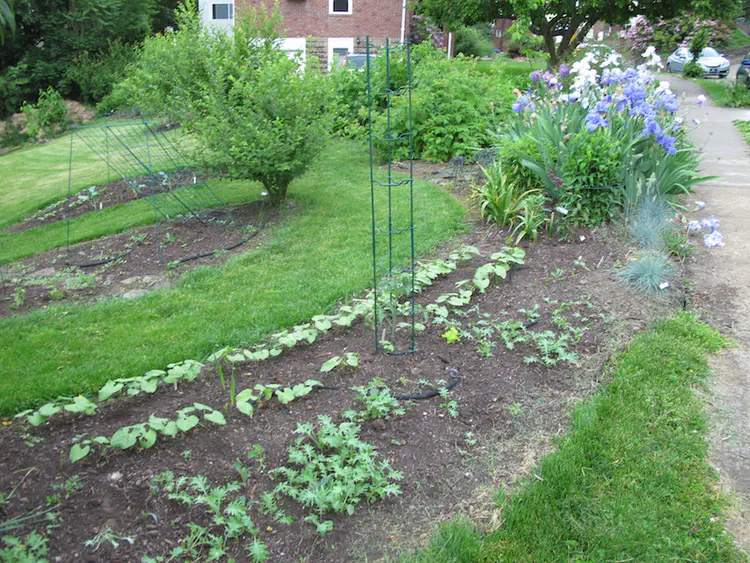 2017-05-21 12.40.28.jpg