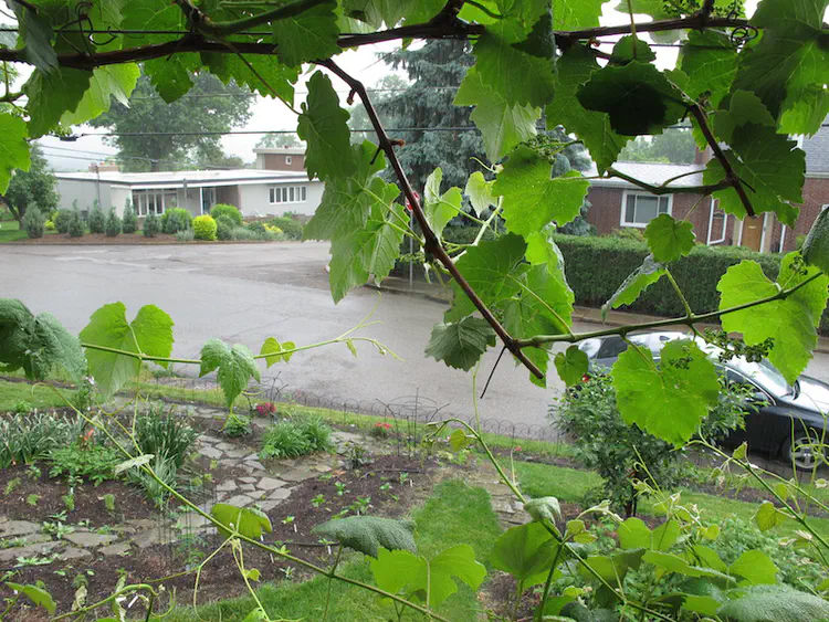 2017-05-21 12.43.03.jpg