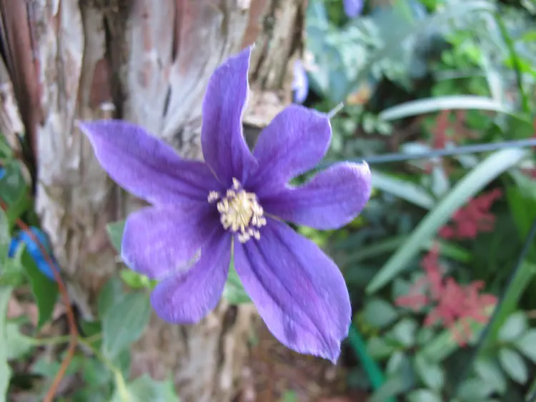 2017-06-01 18.01.42.jpg