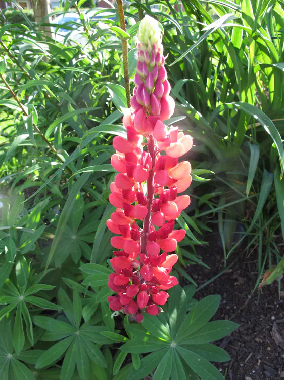 2017-06-01 18.04.05.jpg