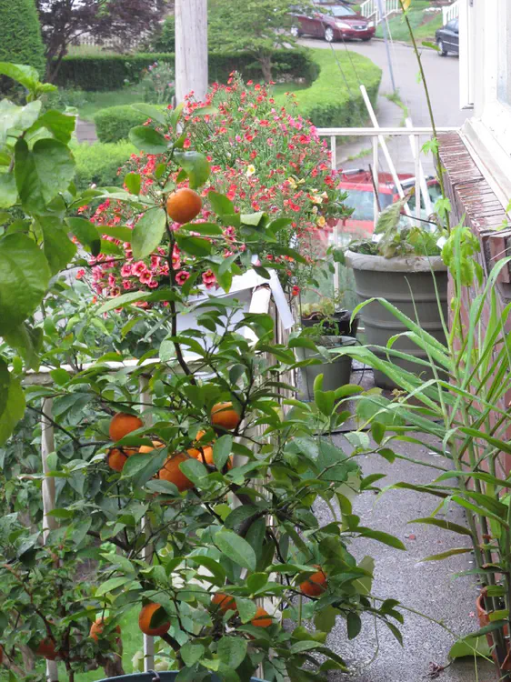 2017-06-18 18.08.37.jpg