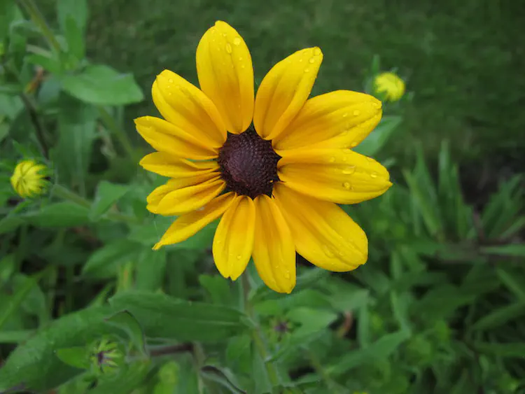 2017-06-18 19.12.07.jpg