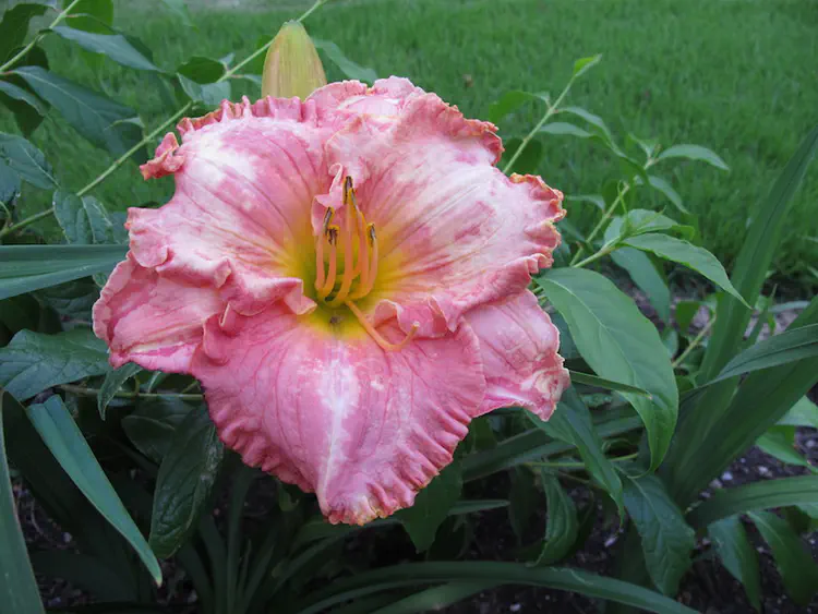 2017-06-22 20.27.20.jpg