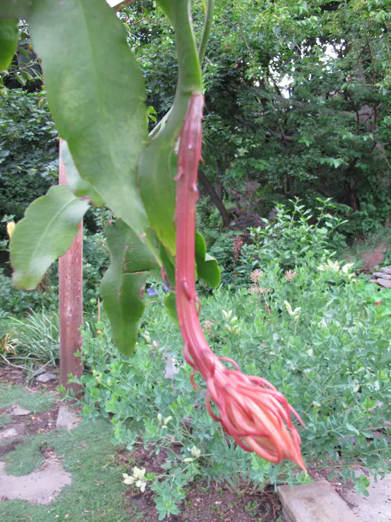 2017-06-22 20.30.40.jpg