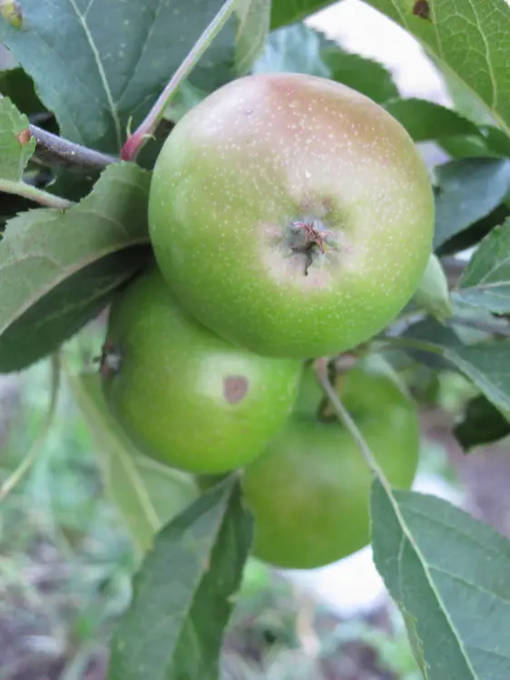 2017-07-02 20.27.44.jpg