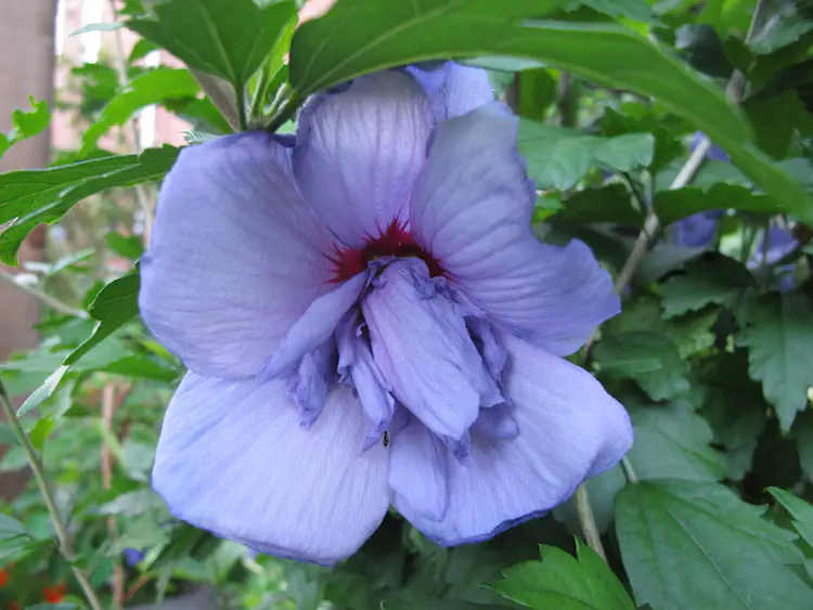 2017-07-02 20.36.09.jpg