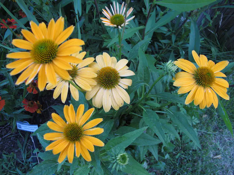 2017-07-02 20.40.51.jpg