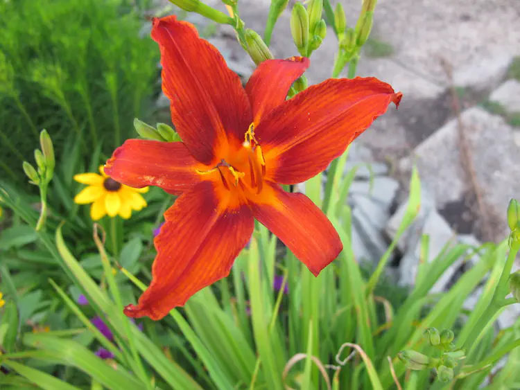 2017-07-02 20.42.53.jpg