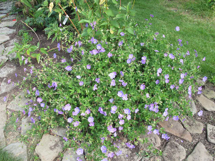 2017-07-09 16.32.22.jpg