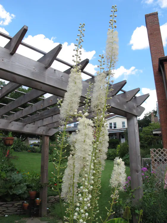 2017-07-09 16.40.12.jpg