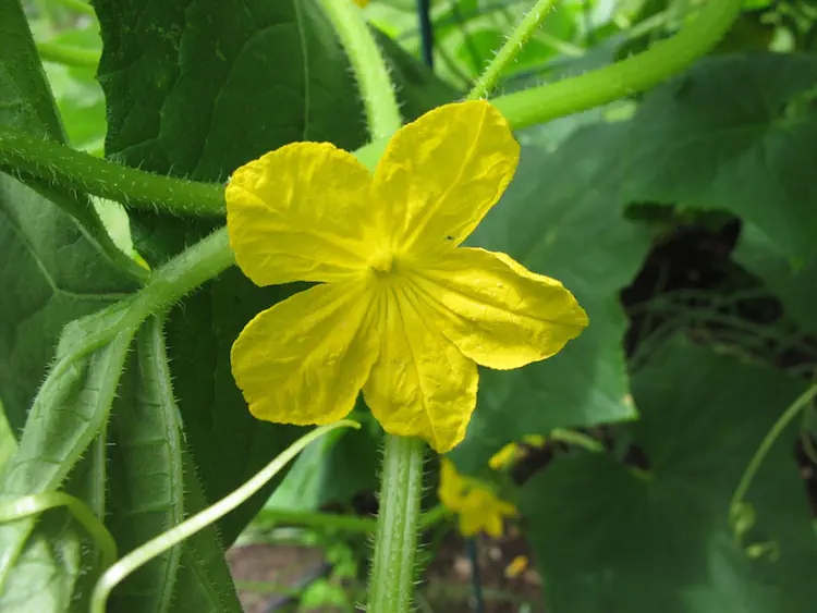 2017-07-15 14.36.31.jpg