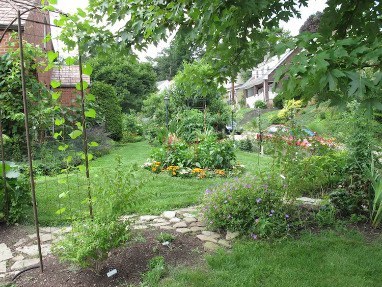 2017-07-15 14.43.47.jpg