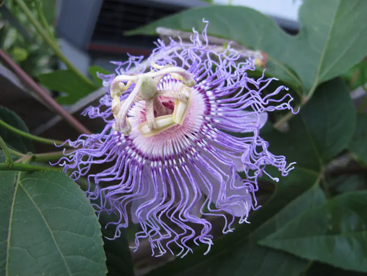 2017-07-25 20.22.22.jpg