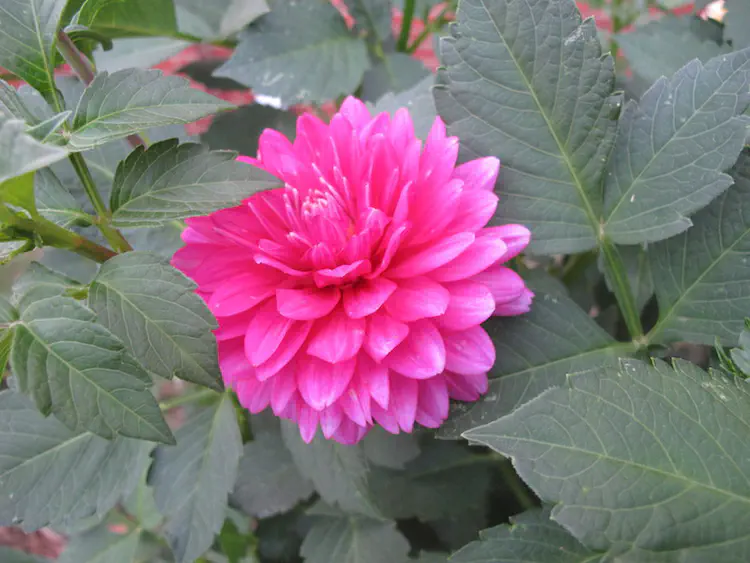 2017-08-20 20.04.09.jpg