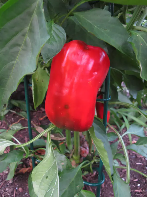 2017-08-20 20.12.36.jpg