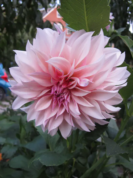 2017-08-20 20.15.11.jpg