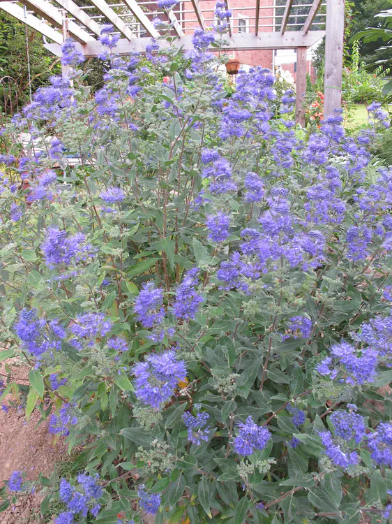 2017-08-31 08.51.44.jpg