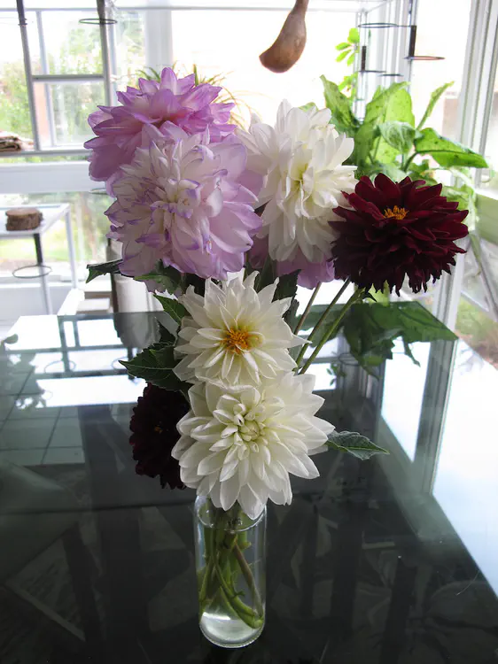 2017-08-31 08.52.59.jpg