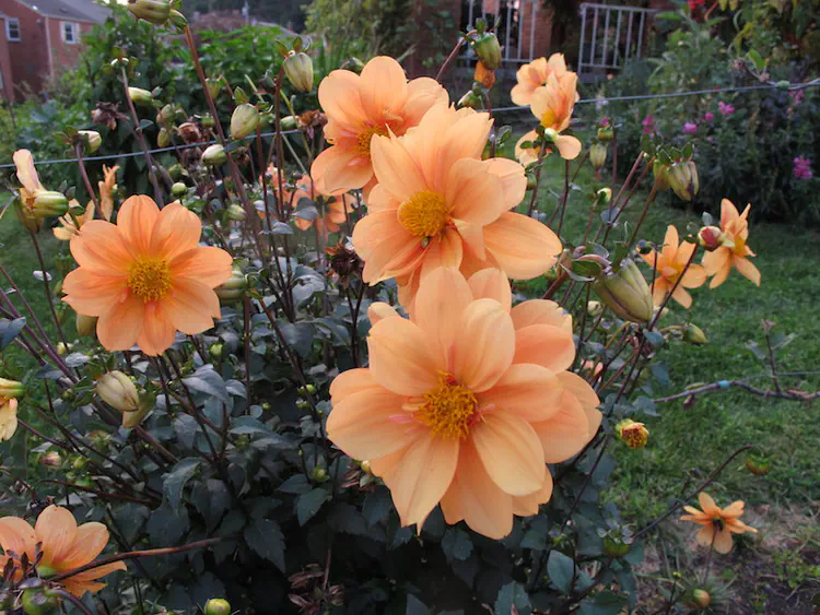 2017-09-04 18.57.23.jpg