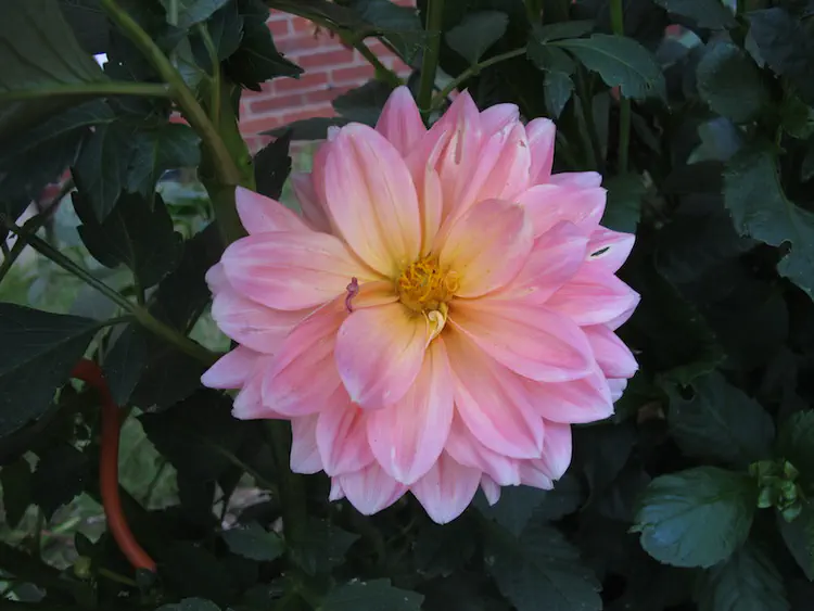 2017-09-04 19.09.27.jpg