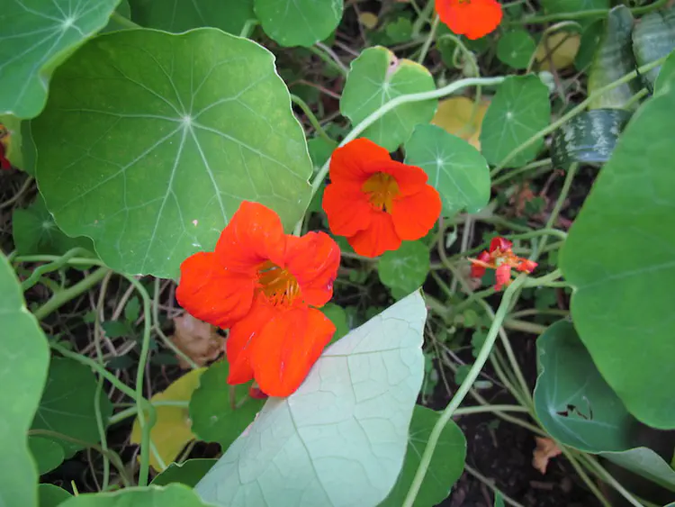 2017-09-04 19.12.47.jpg