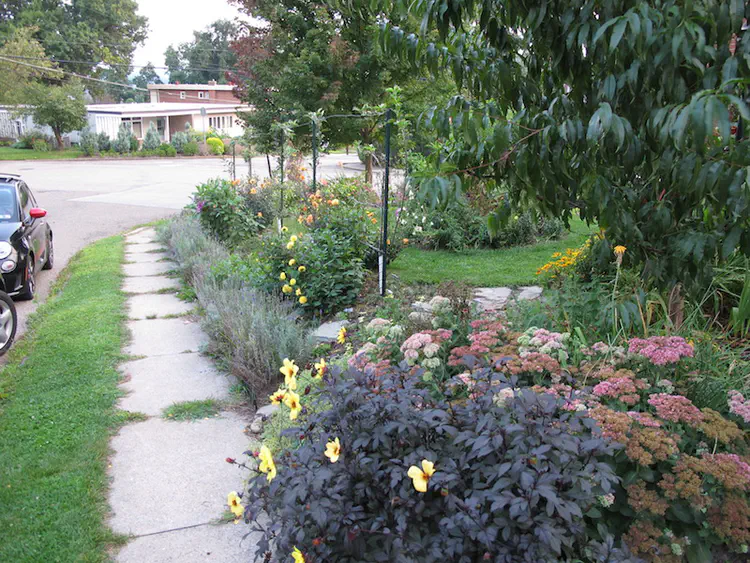 2017-09-04 19.17.16.jpg