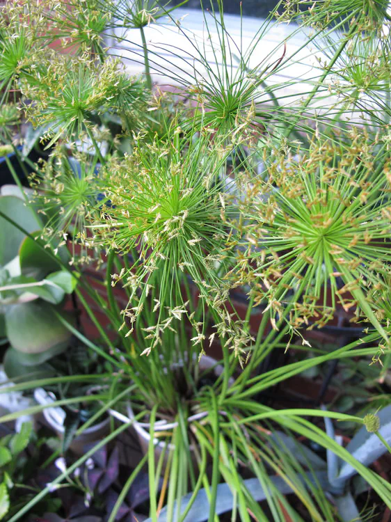 2017-09-04 19.19.03.jpg