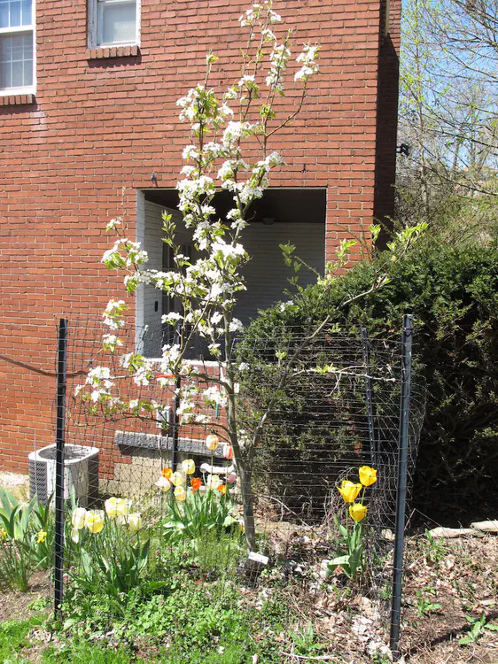 2018-04-30 12.45.32.jpg