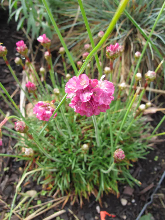 2018-05-06 16.44.29.jpg