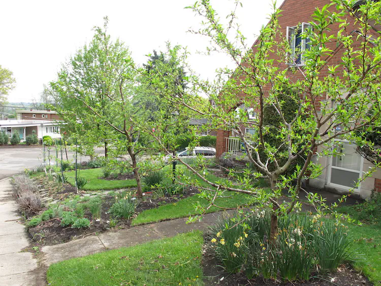 2018-05-06 16.45.38.jpg