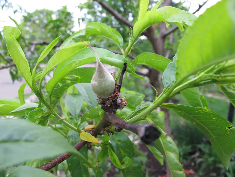 2018-05-10 18.15.40.jpg