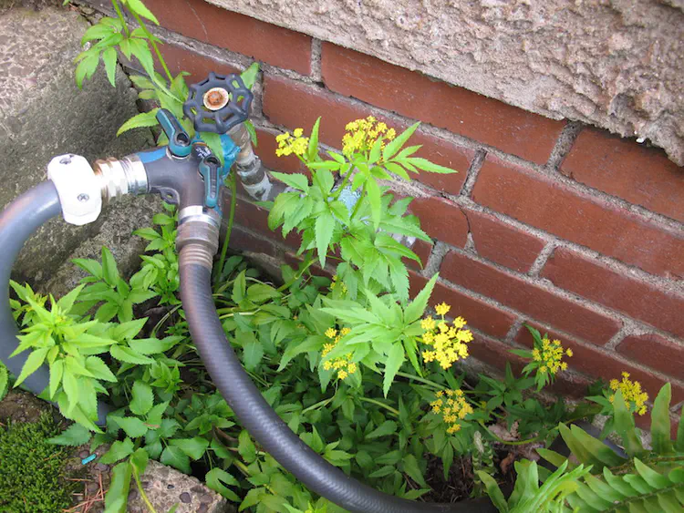 2018-05-17 19.04.05.jpg