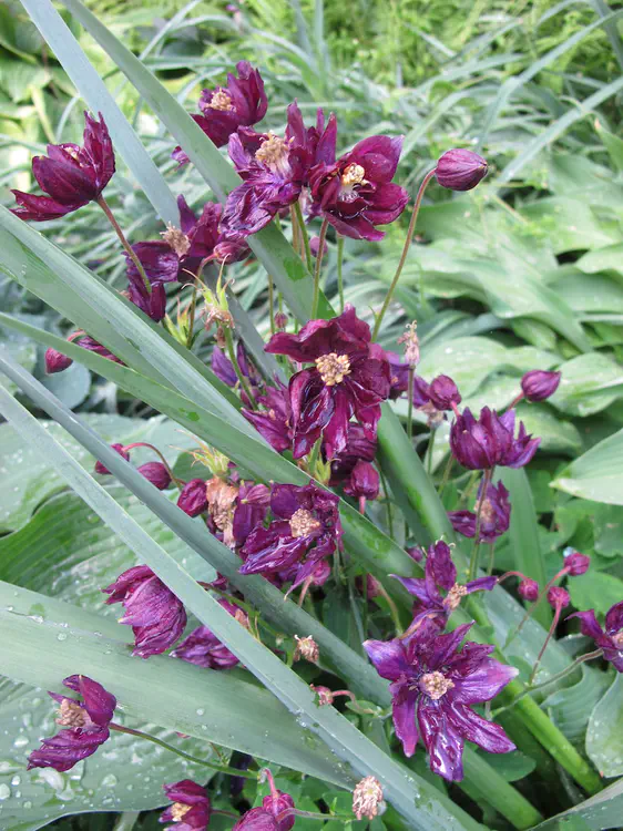 2018-05-19 16.43.00.jpg