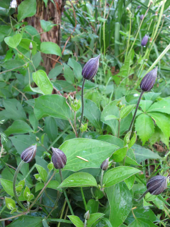 2018-05-19 16.44.53.jpg