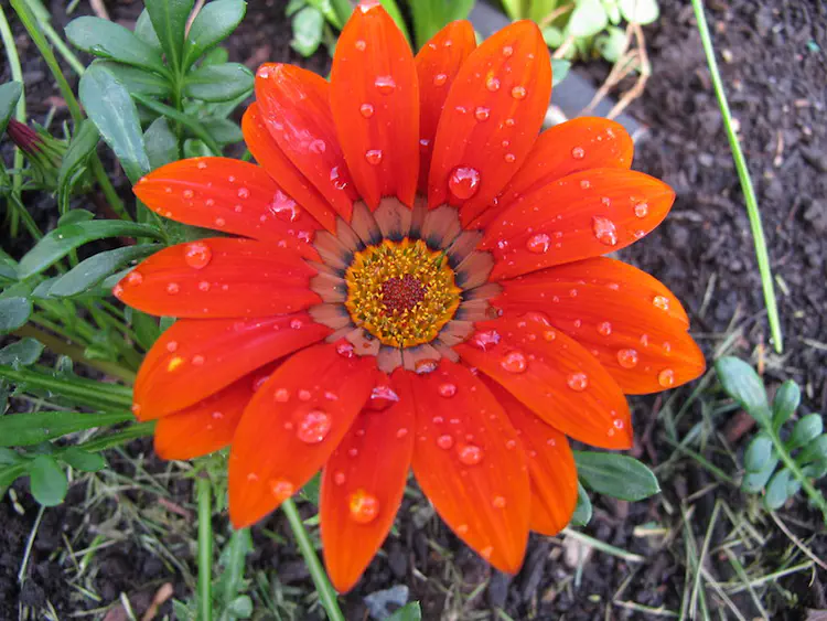 2018-05-19 16.47.18.jpg