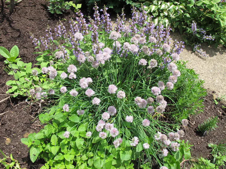 2018-05-27 14.22.55.jpg