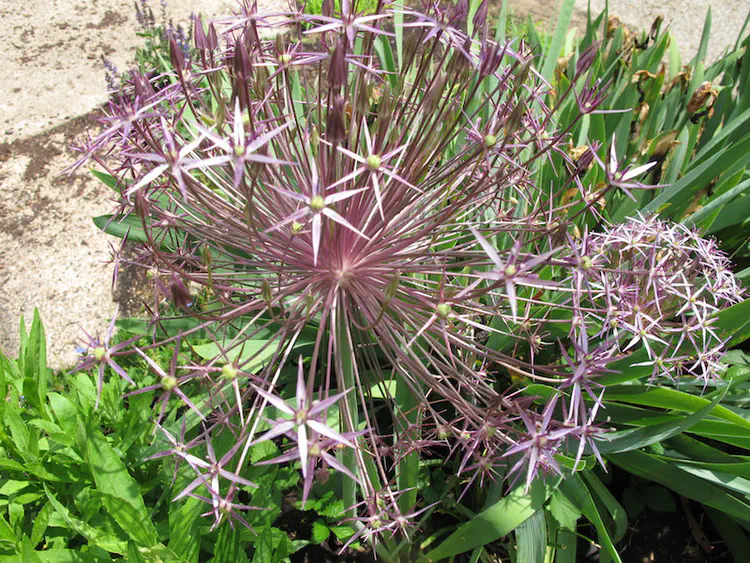 2018-05-27 14.23.59.jpg