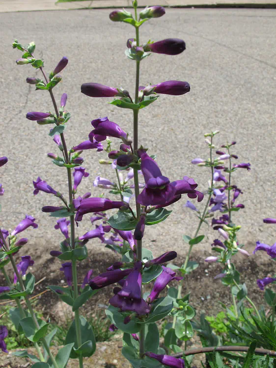 2018-05-27 14.24.29.jpg