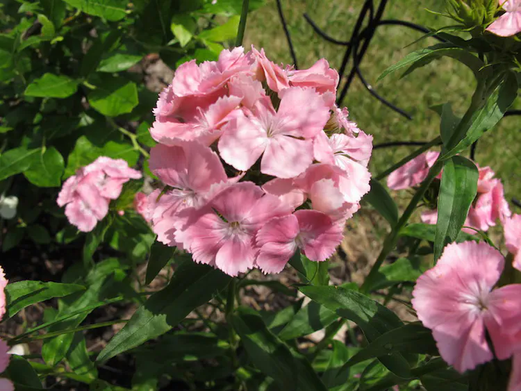 2018-05-27 14.26.51.jpg