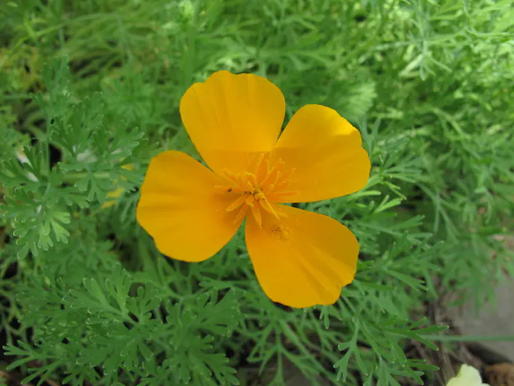 2018-05-27 14.28.24.jpg