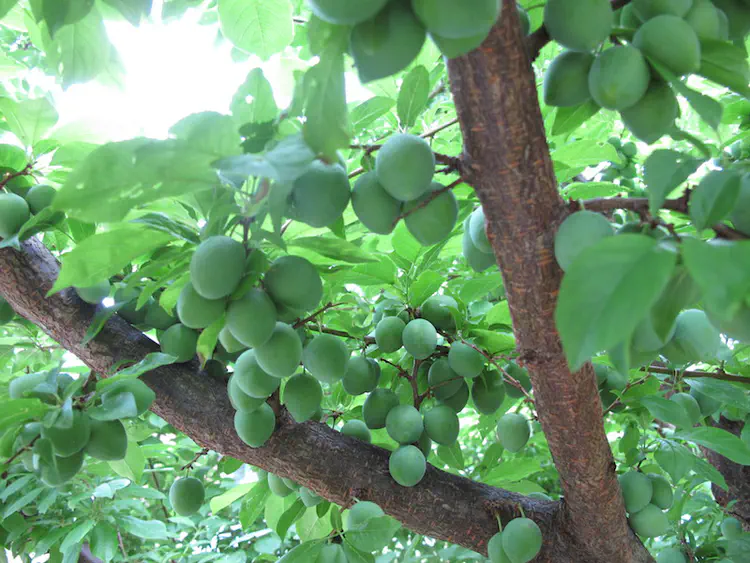 2018-06-01 18.48.01.jpg