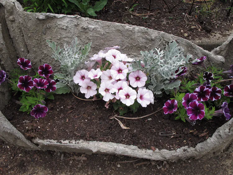 2018-06-01 18.50.19.jpg