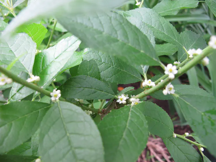 2018-06-01 18.56.44.jpg