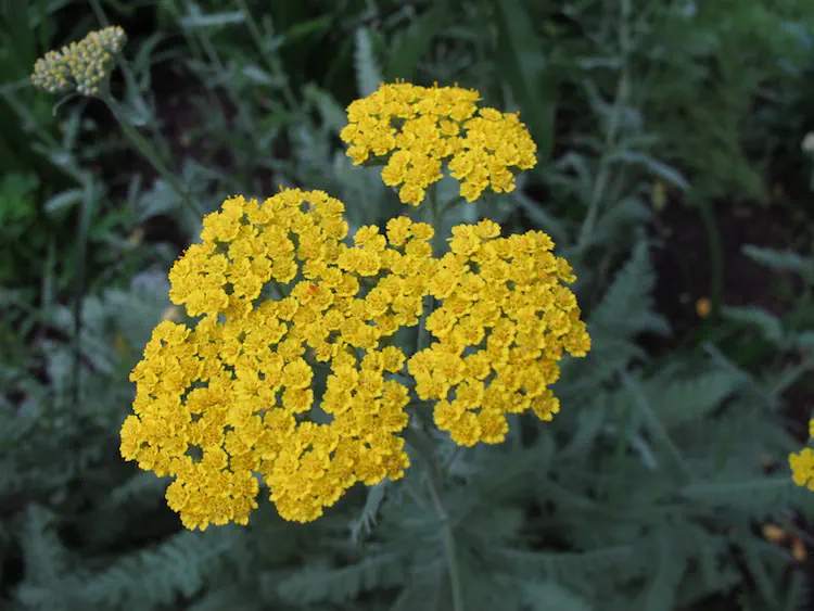 2018-06-01 18.57.11.jpg