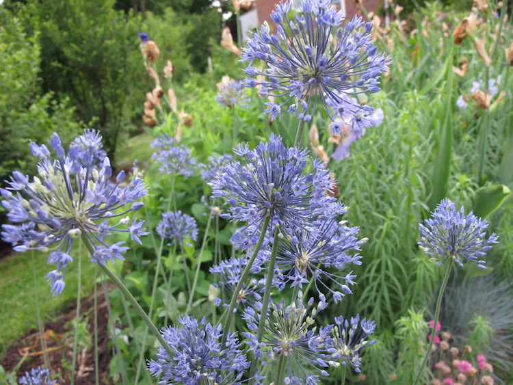 2018-06-01 18.58.27.jpg